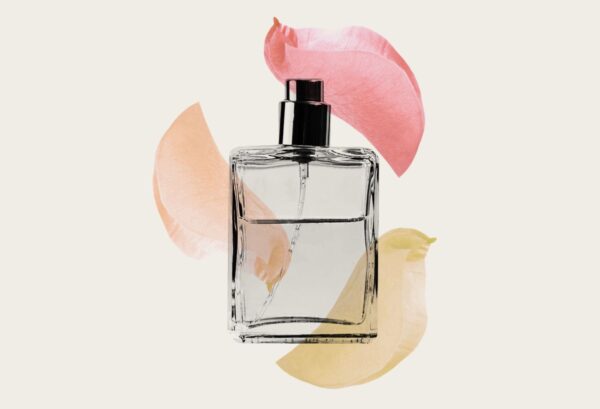 ROYAL CLASS — chypre spicy scent inspiration