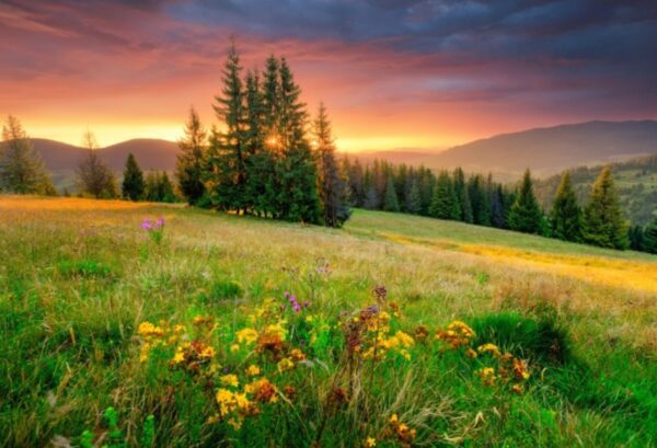 HEAVEN ON EARTH — wood mix floral scent inspiration