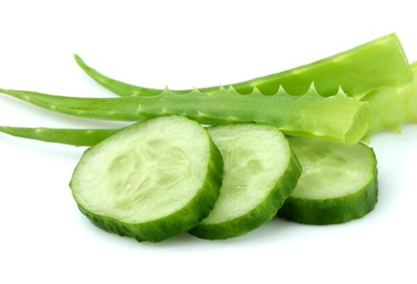 ALOE VERA-CUCUMBER — green citrusy scent inspiration