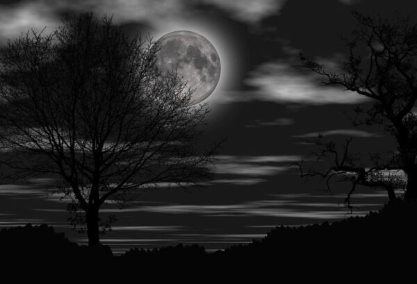 DARKNESS — oriental woody scent inspiration