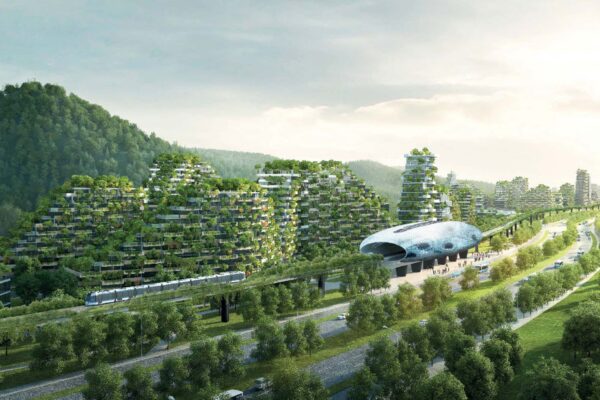 GREEN CITY — chypre citrusy scent inspiration