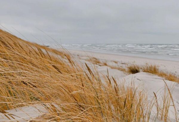 WHITE BEACH — oriental floral scent inspiration