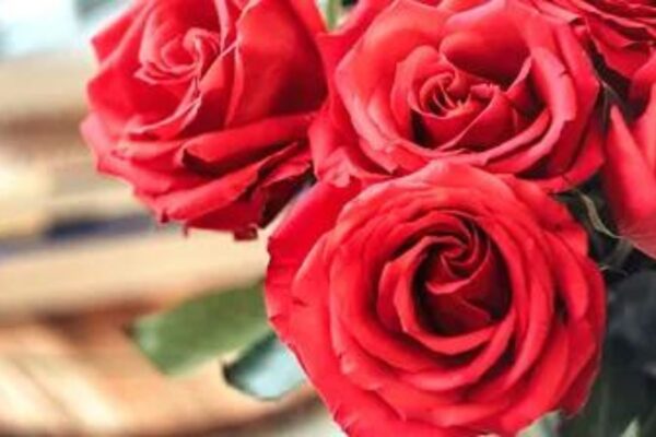 TOUCH ME — floral woody scent inspiration