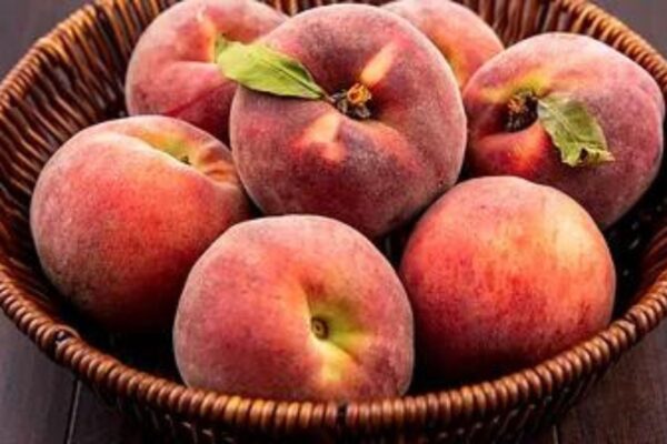 SPLENDERUS AF — oriental fruity scent inspiration
