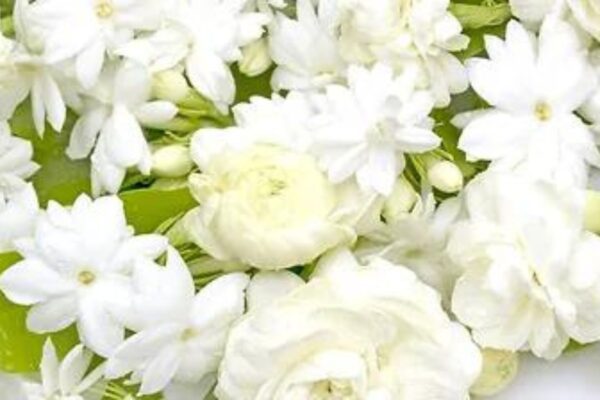 GABRIANEL ED — floral woody scent inspiration
