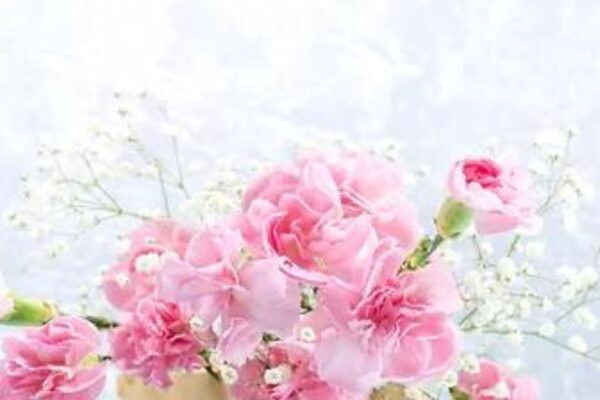 AVENCOS FORTE — oriental scent inspiration