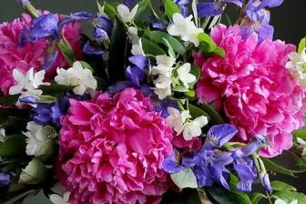 Floral fragrance inspiration