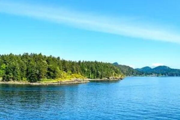 SUN SNOW ED — marine scent inspiration