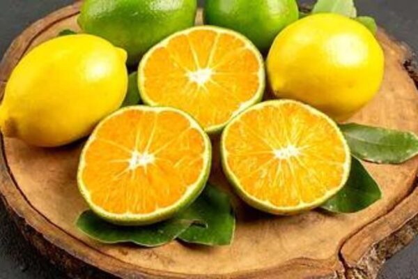 TERES ED — citrus woody scent inspiration