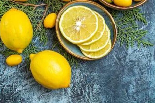 TERRITORY — woody spicy scent inspiration